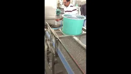 多機能電気床洗浄機、人工芝掃除機、トラック、カスタマイズされた生産工場